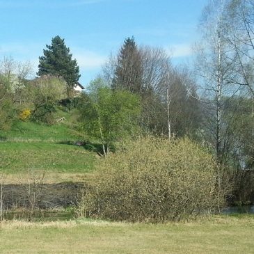 Wiesenbrand – Forellenstraße