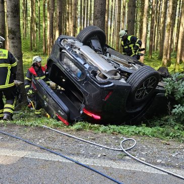 BMW X4 fällt Baum