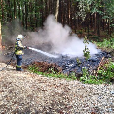 Flächenbrand schnell unter Kontrolle gebracht